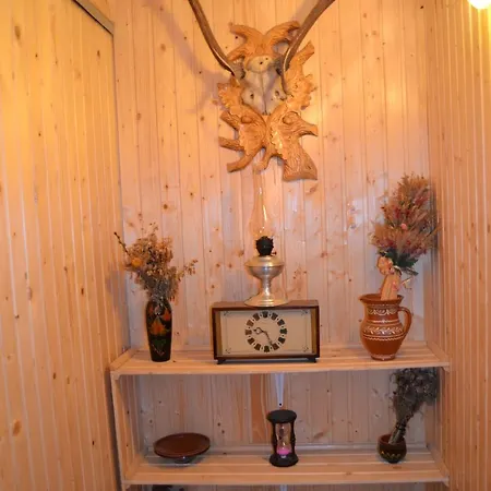 게스트하우스 карпатський дуб 야렘체