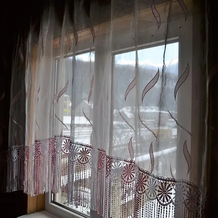 карпатський дуб Jaremče